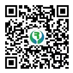 手机端 手机端